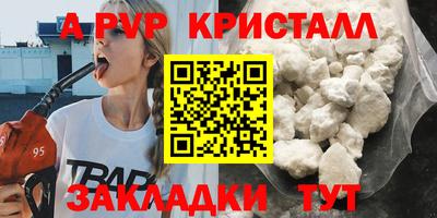 2c-b Кингисепп