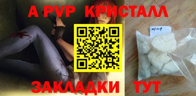 2c-b Кингисепп