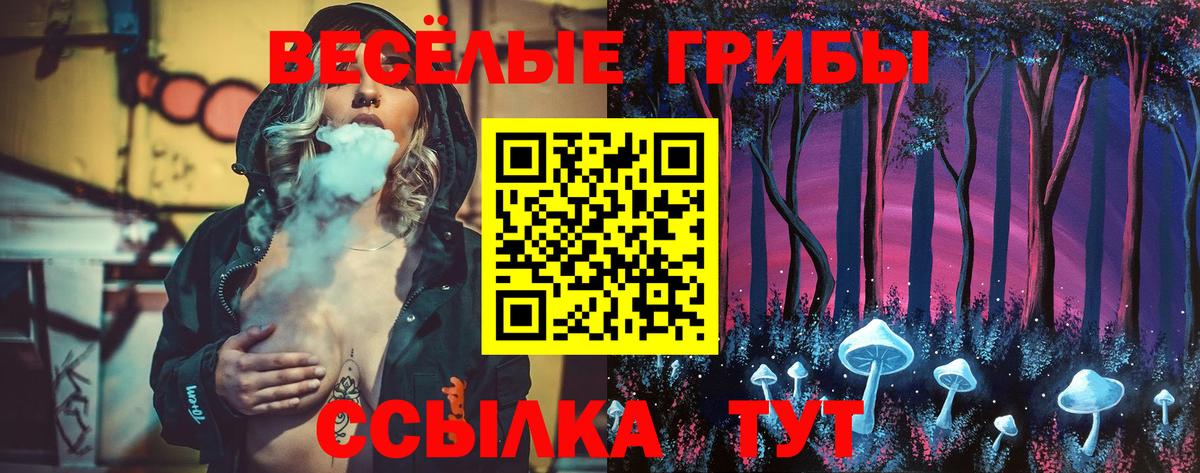 Псилоцибиновые грибы Psilocybine cubensis  Вход с VPN  Шебекино 